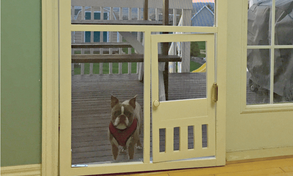 DIY pet door in our screen door {Heather's Handmade Life}
