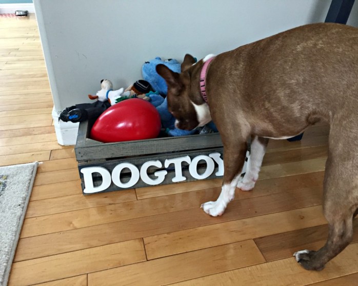DIY dog toy box {Heather's Handmade Life}